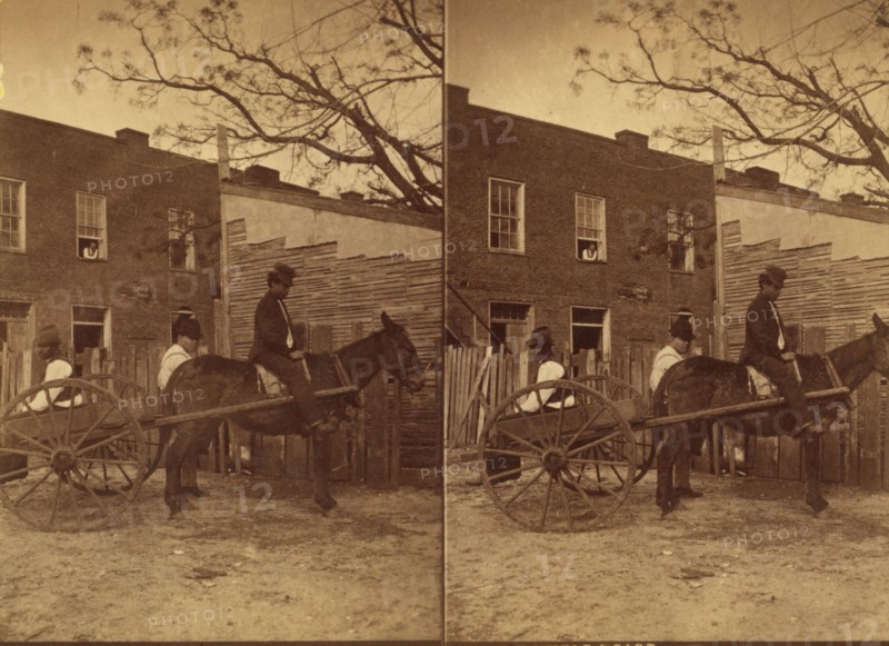 Mule cart, c1850-c1930. Creator: Unknown.