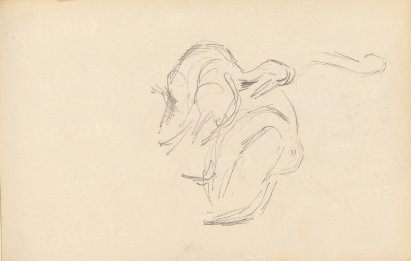 Pelicans, 1877/1880. Creator: Paul Cezanne.