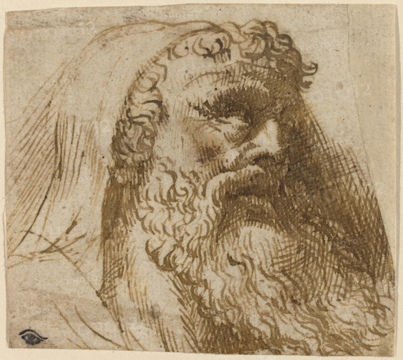 Head of a Man. Creator: Domenico Campagnola.