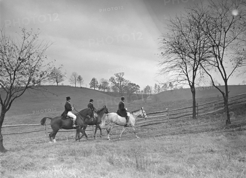 Cutting hunt, 1933 Nov. Creator: Arnold Genthe.