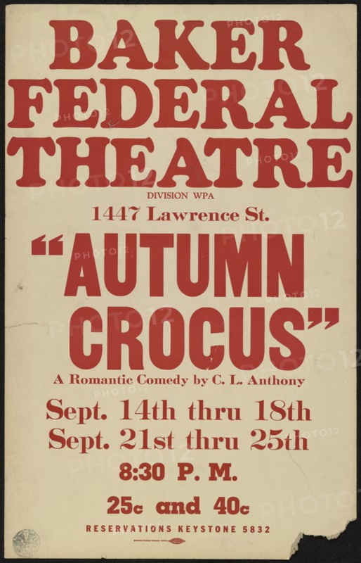 Autumn Crocus, Denver, [1930s]. Creator: Unknown.