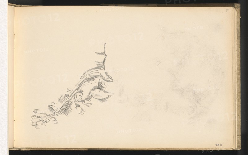 Branch in Flower, 1886/1889. Creator: Paul Cezanne.