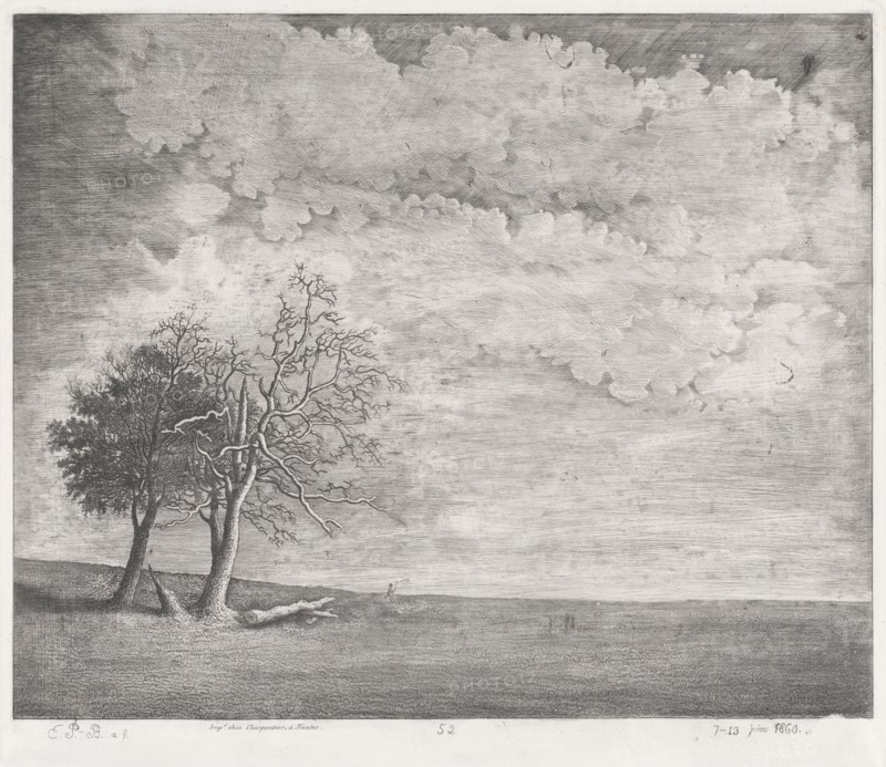 A Heath, 1860. Creator: Emmanuel Phélippes-Beaulieu.