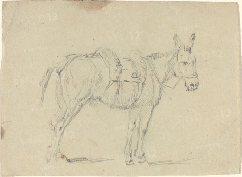 Donkey Stretching a Hind Leg. Creator: John Flaxman.
