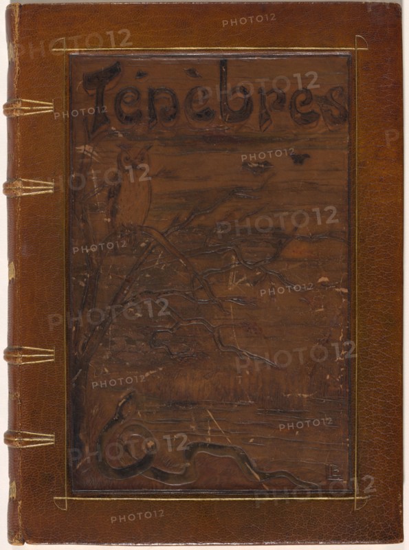 Ténèbres, 1892. Creators: Odilon Redon, Iwan Gilkin.