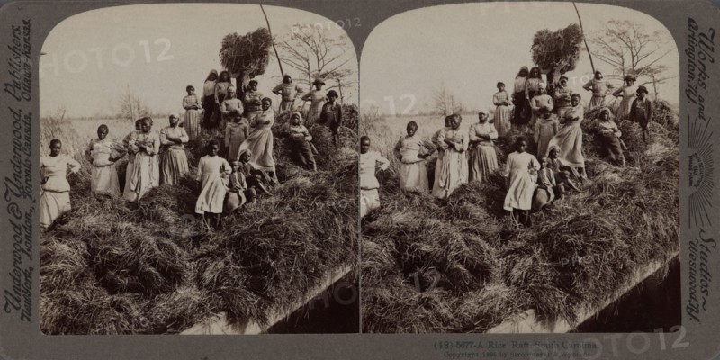 A rice raft, South Carolina, 1895. Creator: Unknown.