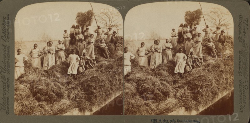 A rice raft, South Carolina, 1895. Creator: Unknown.