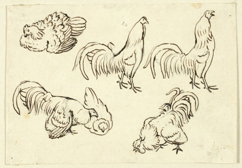 Sketches of Poultry, n.d. Creator: Henry Stacy Marks.