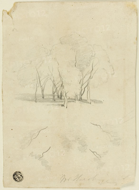 Clump of Trees, n.d. Creator: James Duffield Harding.