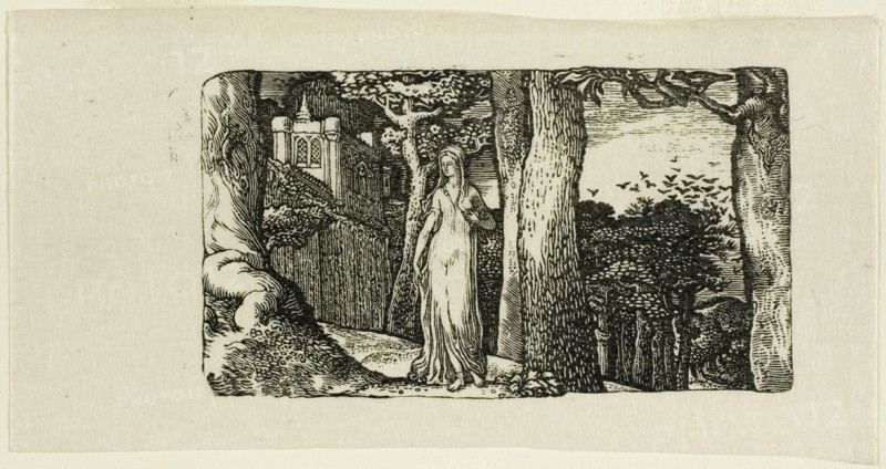 The Lady and the Rooks, n.d. Creator: Edward Calvert.