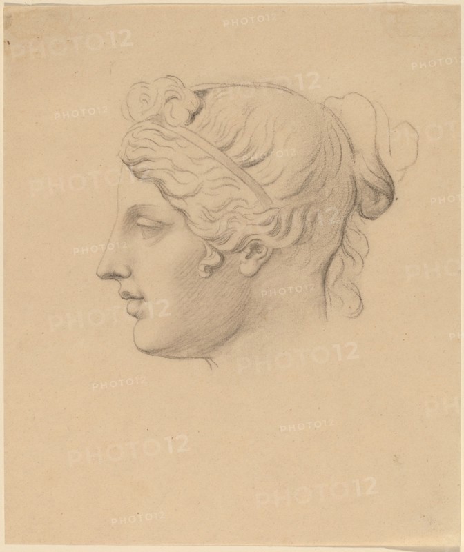Classical Head in Profile. Creator: Horatio Greenough.