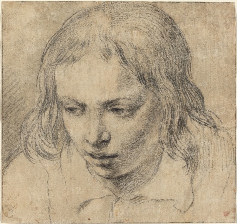 Head of a Young Man [recto], c. 1650. Creator: Unknown.