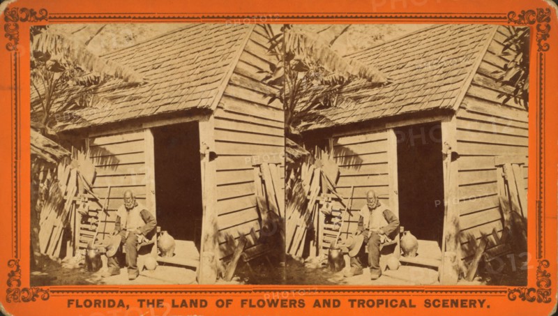 Uncle Jack and his home, c1850-c1930. Creator: Unknown.