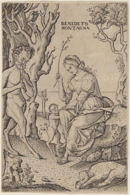 Satyr Family, c. 1512/1520. Creator: Benedetto Montagna.