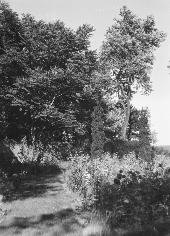 Cosgrave grounds, not before 1917. Creator: Arnold Genthe.