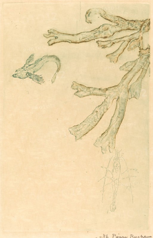 Marine Algae (Algues marines), 1893. Creator: Pierre Roche.