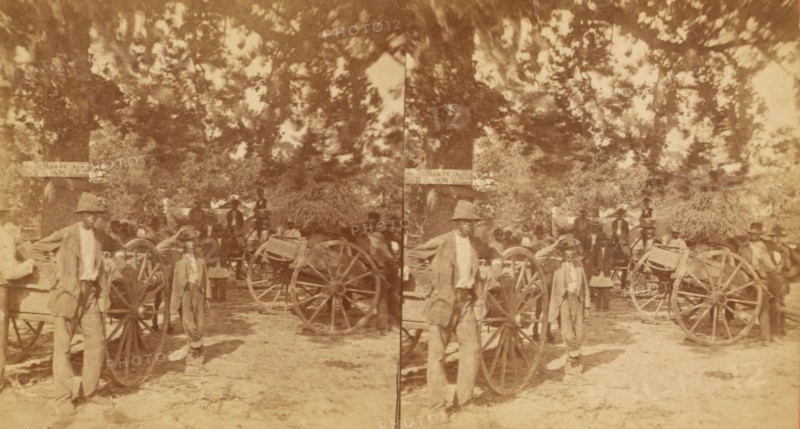 Waiting for the photographer, c1850-c1930. Creator: Unknown.
