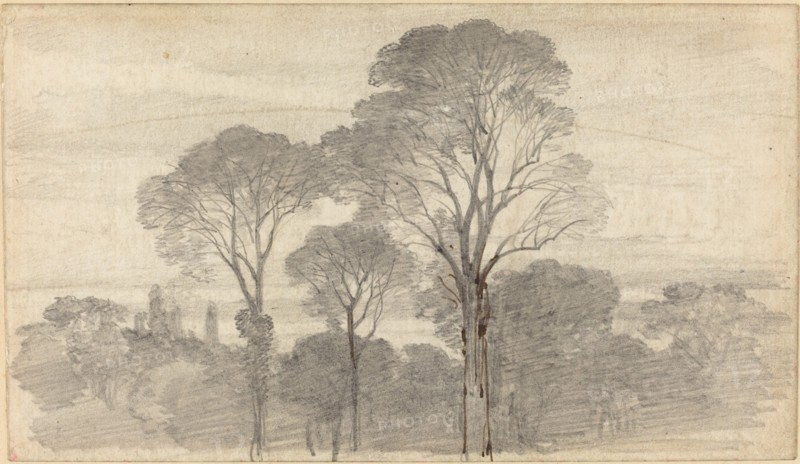 An Evening Landscape with Tall Trees. Creator: Birket Foster.