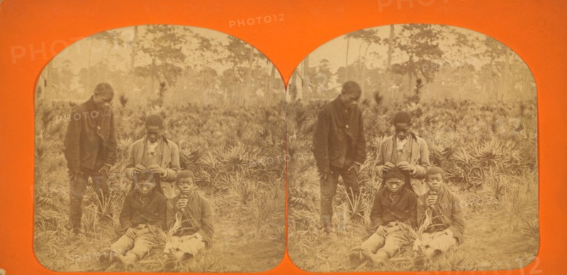 Four African-American boys, c1850-c1930. Creator: Isaac Haas.