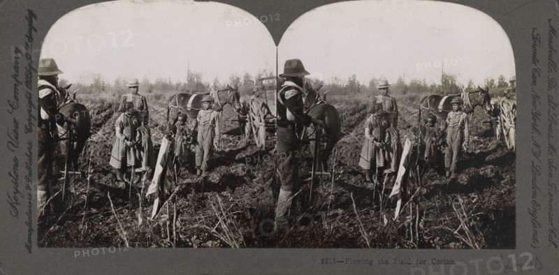 Plowing the field for cotton, (1868-1900?). Creator: Unknown.