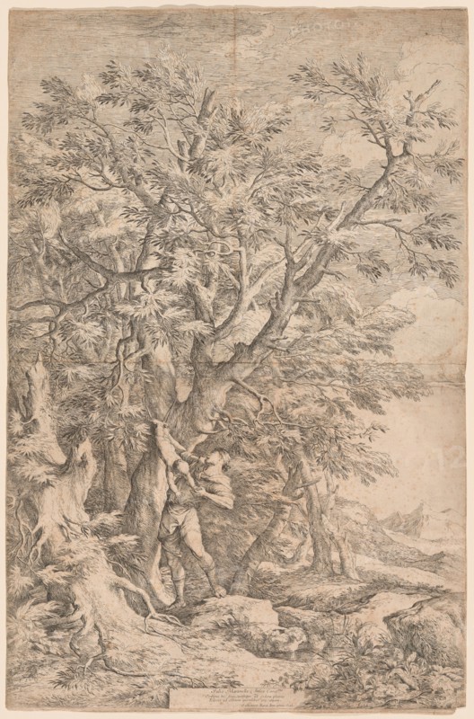 The Rescue of the Infant Oedipus, 1663. Creator: Salvator Rosa.
