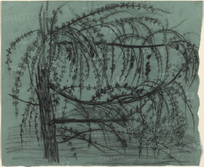 Fruit Tree in Bloom, 1900/1902. Creator: Paula Modersohn-Becker.