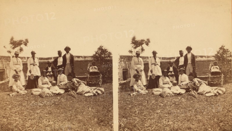 Brethern and sisters- Florida, c1850-c1930. Creator: D. J. Ryan.