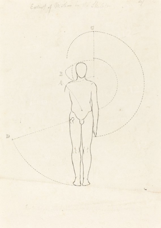 Extent of Motion, One Figure, published 1829. Creator: George Scharf.