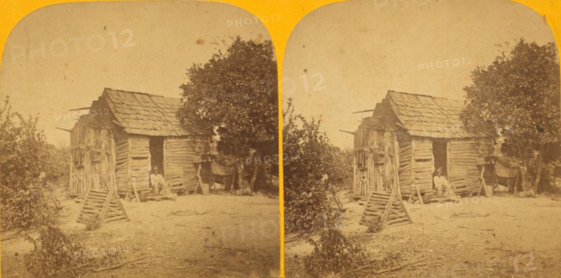 Subject for reconstruction', c1850-c1930. Creator: Adin French Styles.