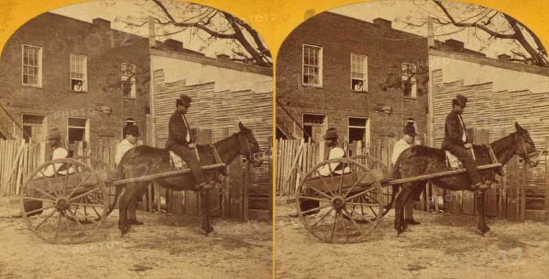 View of a man in mule cart in front of a home, 1875. Creator: Unknown.