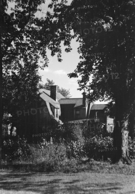 Cosgrave residence and grounds, not before 1917. Creator: Arnold Genthe.