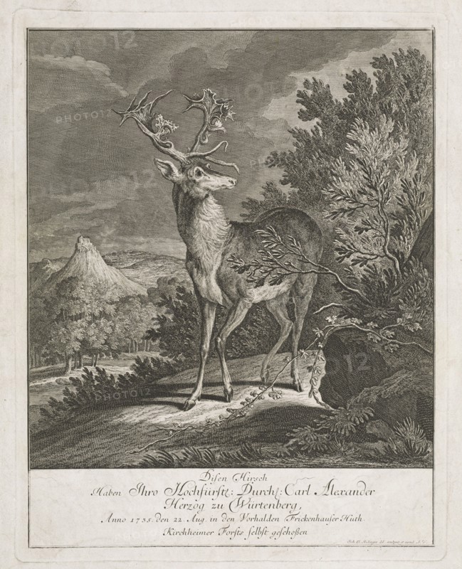 A Magnificent Stag in a Landscape, 1735. Creator: Johann Elias Ridinger.