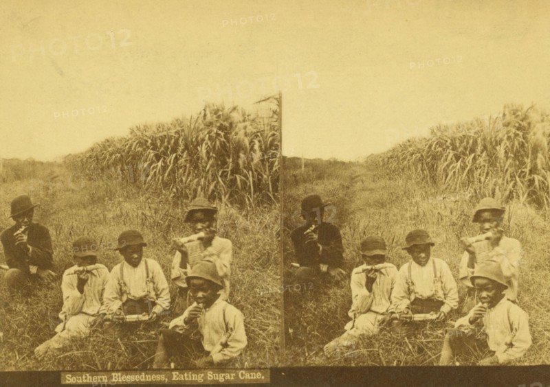 Southern blessedness, eating sugar cane, (1868-1900?). Creator: Unknown.