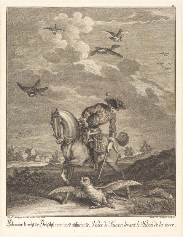 Falconeer Lifting an Owl from the Ground. Creator: Johann Elias Ridinger.