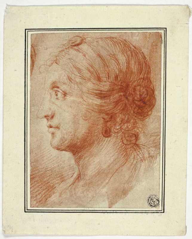 Bust of Woman in Profile to Left, 1725/1735. Creator: Sir Godfrey Kneller.