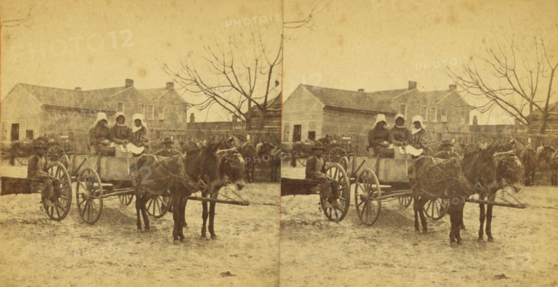 Three graces, [Three women in a mule cart], (1868-1900?). Creator: Unknown.
