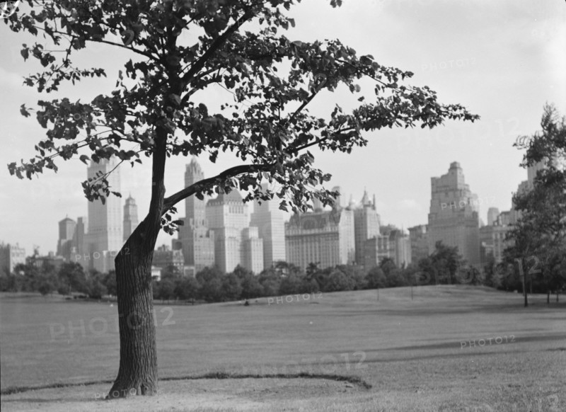 New York City views, Central Park, between 1931 and 1938. Creator: Arnold Genthe.