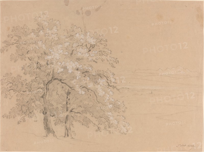 Sunlit Trees Before a Panoramic Landscape, 1810s(?). Creator: Jean-Antoine Linck.