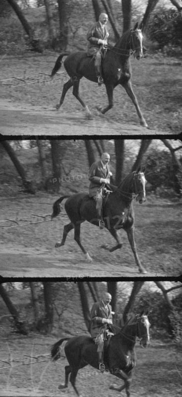 Rothbart, Albert, Mr., on horseback, between 1920 and 1935. Creator: Arnold Genthe.