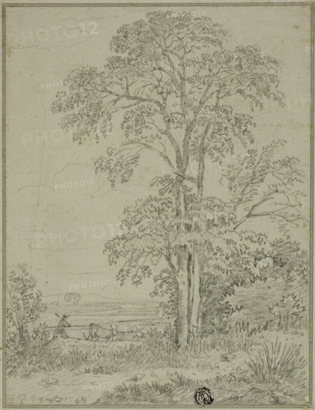 Landscape with Tree, Man, and Cows, August 7, 1765. Creator: George Howland Beaumont.