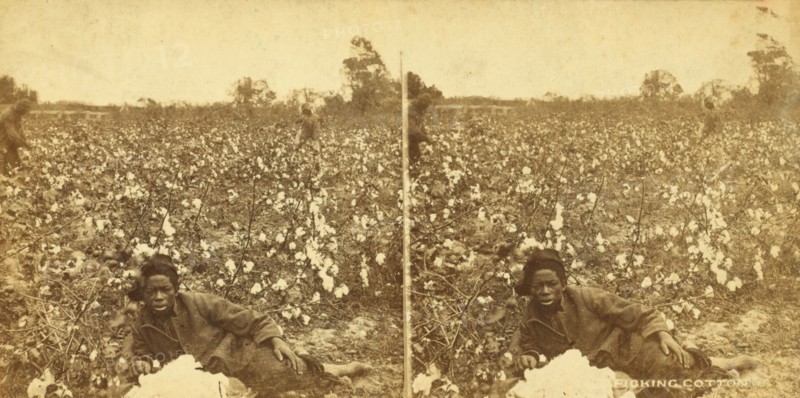 Picking cotton. [Woman resting in the field], (1868-1900?). Creator: O. Pierre Havens.