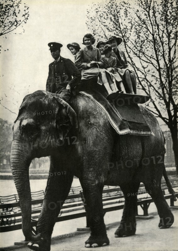 'At the London Zoo - enjoying a ride on an elephant', 1939, (1947).  Creator: Unknown.