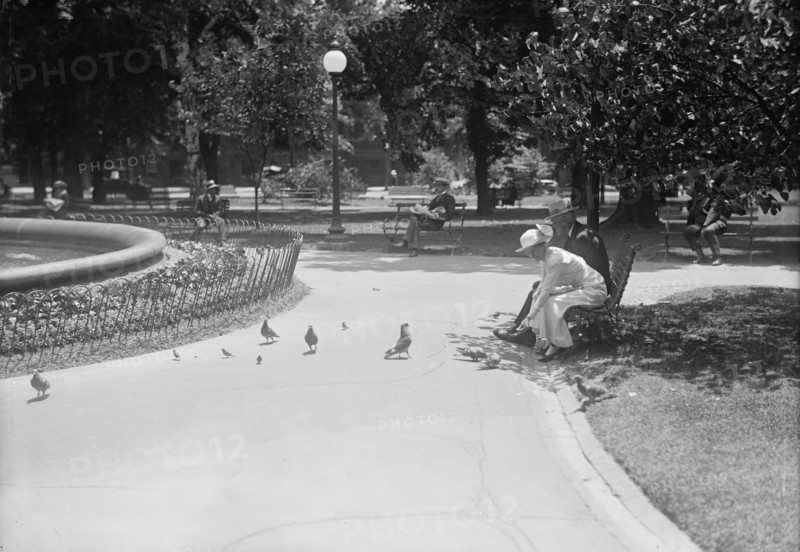 District of Columbia Parks - Feeding Pigeons in The Parks, 1917. Creator: Harris & Ewing.