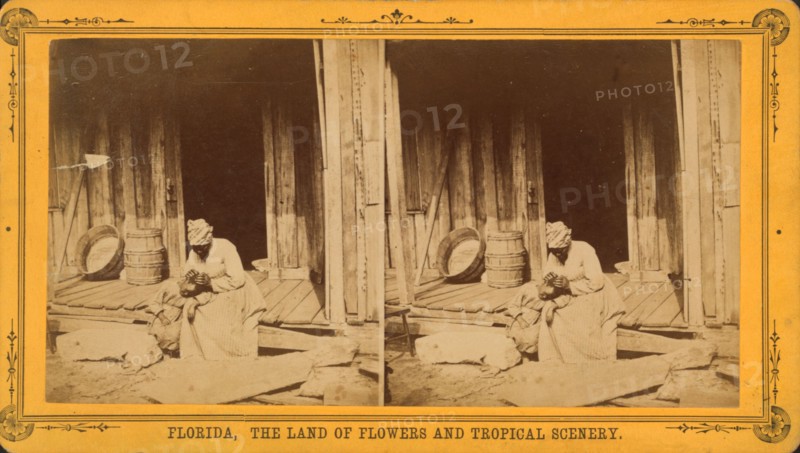 An Hour's search; or, Aunt Venue hunting for Florida fleas, c1850-c1930. Creator: Unknown.