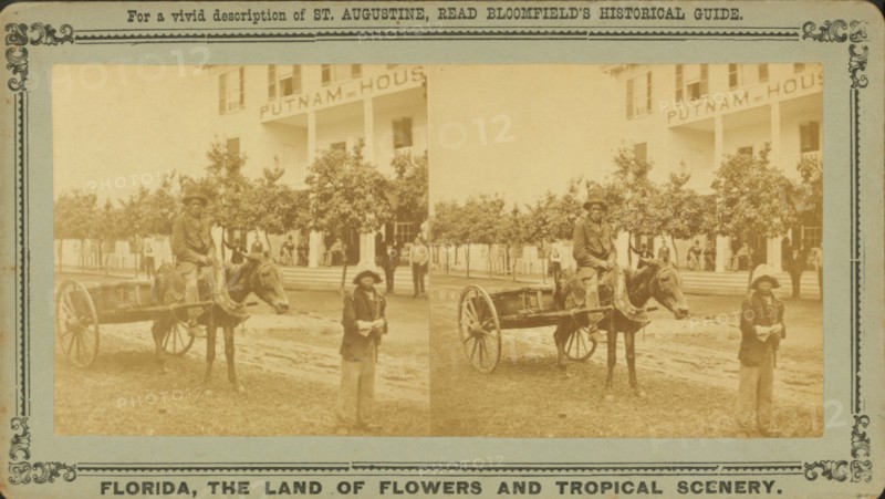 15th Amendment, or the Darkey's millenium: 40 acres of land and a mule, c1850-c1930. Creator: Unknown.