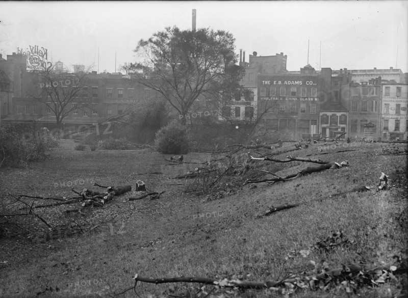 District of Columbia Parks - Cutting Trees On Mall Sites For War Buildings, 1917. Creator: Harris & Ewing.