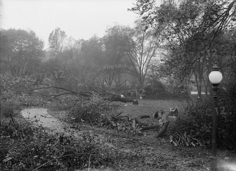 District of Columbia Parks - Cutting Trees On Mall Sites For War Buildings, 1917. Creator: Harris & Ewing.