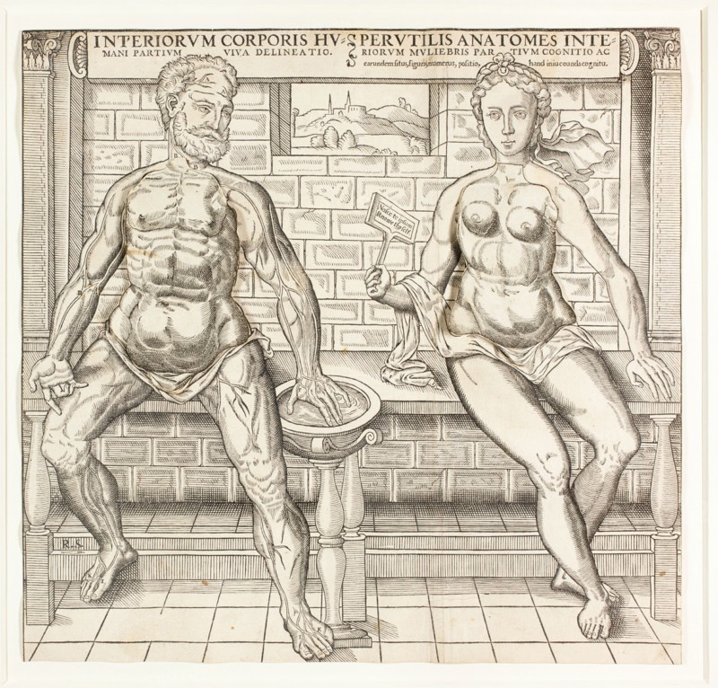 Interiorum corporis humani partium viva delineatio, from the second edition of the..., 1555/59. Creator: Monogrammist R. S..