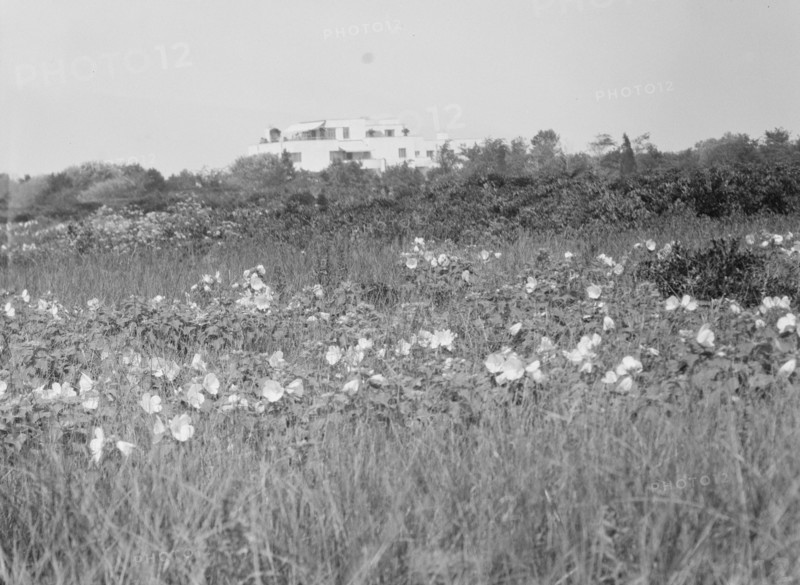 House and grounds of "The Shallows," property of Lucien Hamilton Tyng, Southampton, Long Island, 193 Creator: Arnold Genthe.