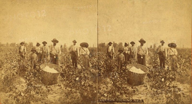 Cotton picking no. 3. [Group posing in the field with bale of cotton in foreground], (1868-1900?). Creator: O. Pierre Havens.